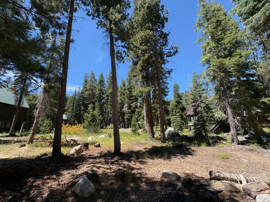 41 Fremont Road, Bear Valley, CA 95223 - #2
