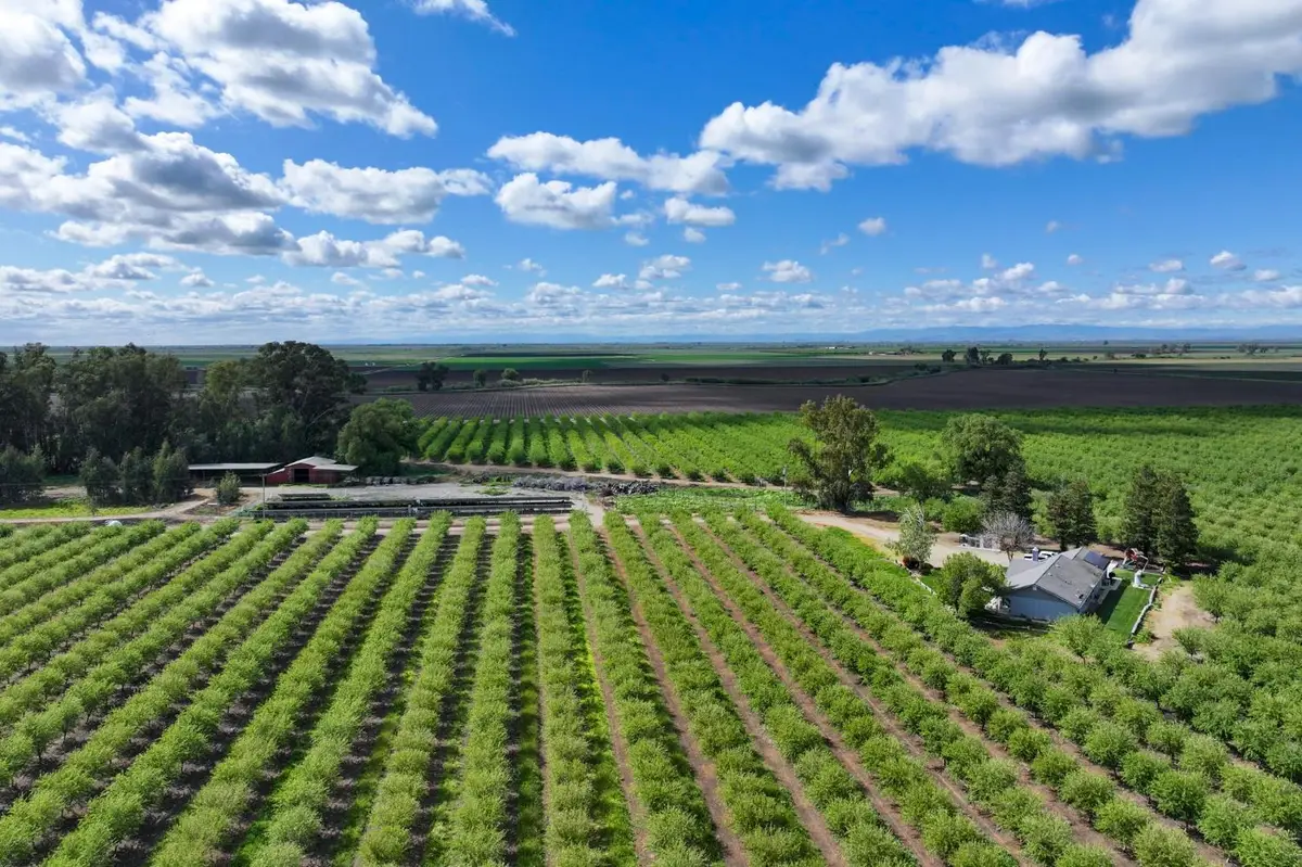 1389 S Bert Crane Road, Atwater, CA 95301 - #1