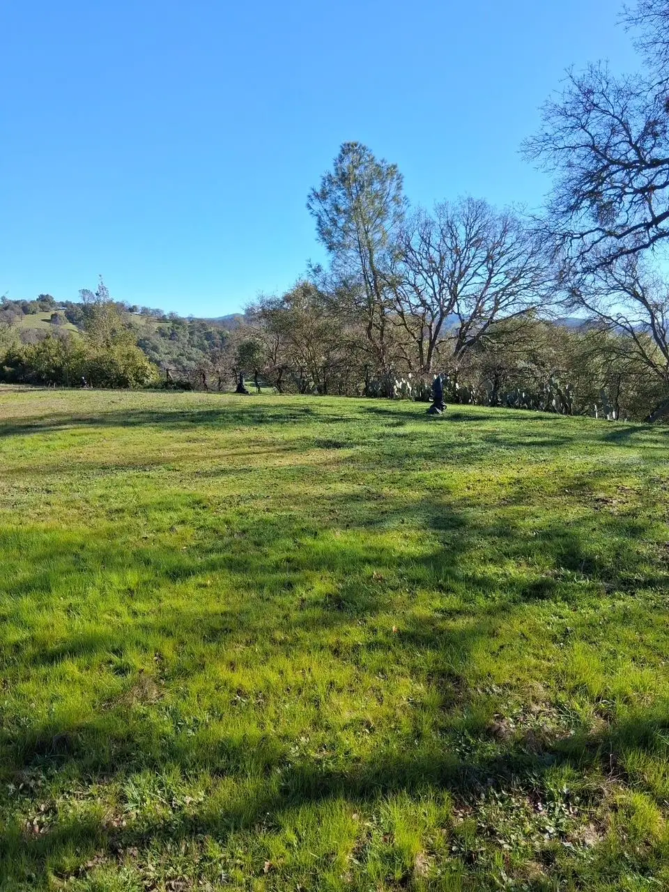 2708 Golden Gate Drive, San Andreas, CA 95249 - #1