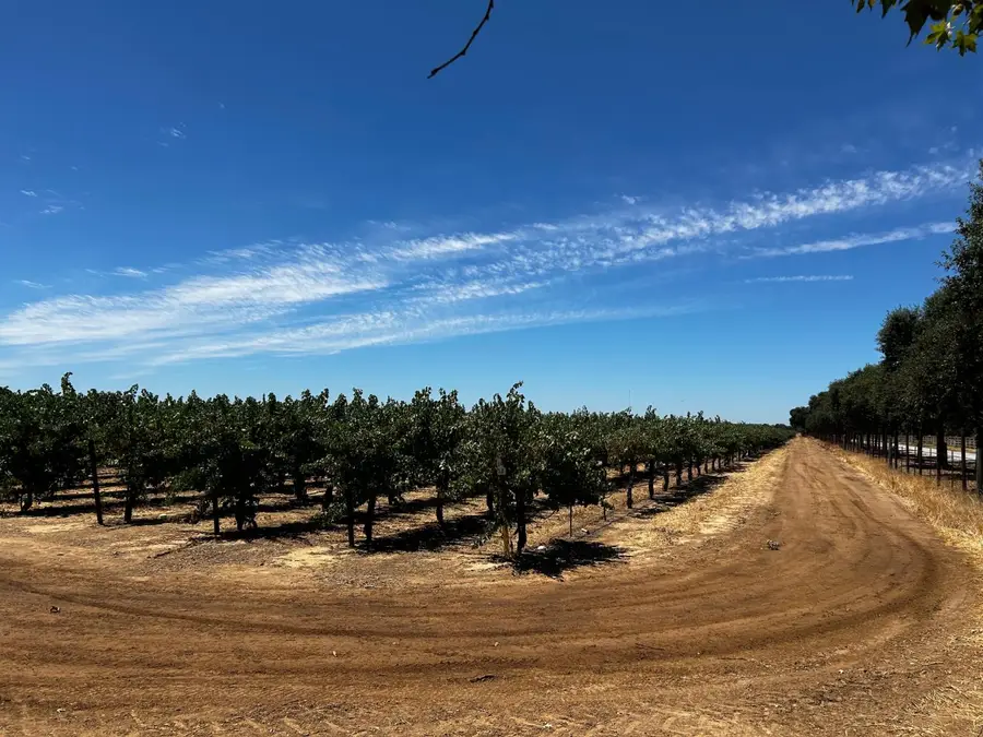 838 Lyonia Drive, Galt, CA 95632 - #3