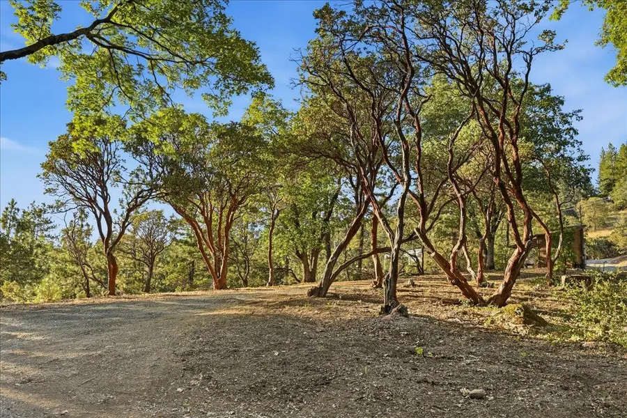 21417 Running Horse Road, Nevada City, CA 95959 - #2