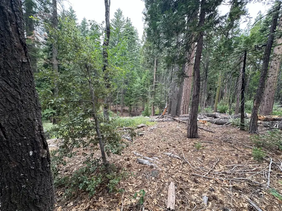 803 Wikami Way, Dorrington, CA 95223 - #3