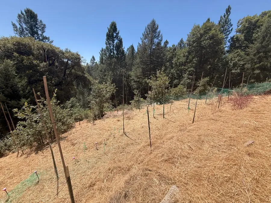20363 Grizzly Creek Road, Nevada City, CA 95959 - #2