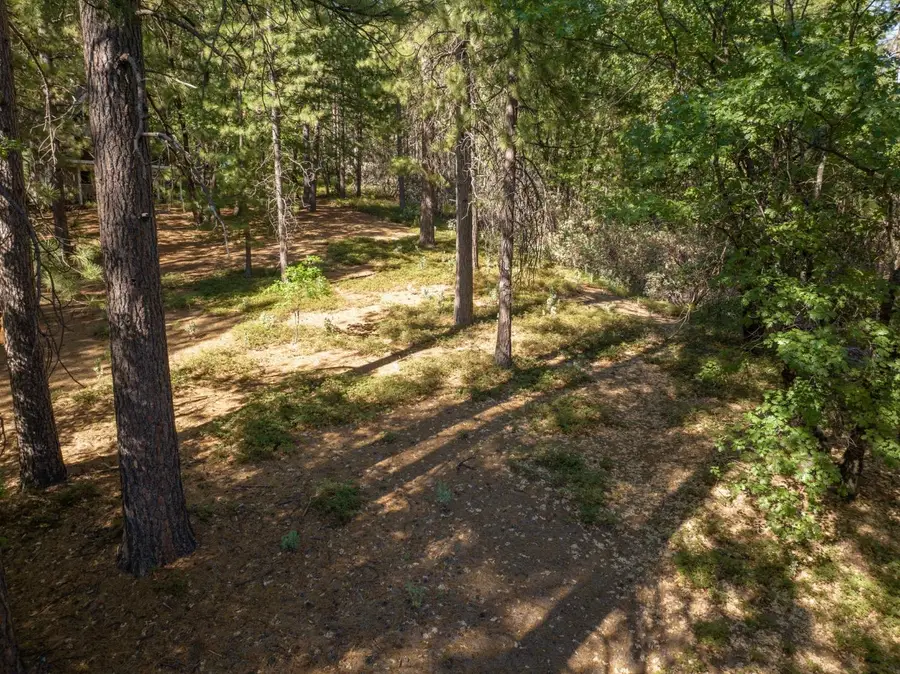 3003 Black Bear Drive, Arnold, CA 95223 - #3
