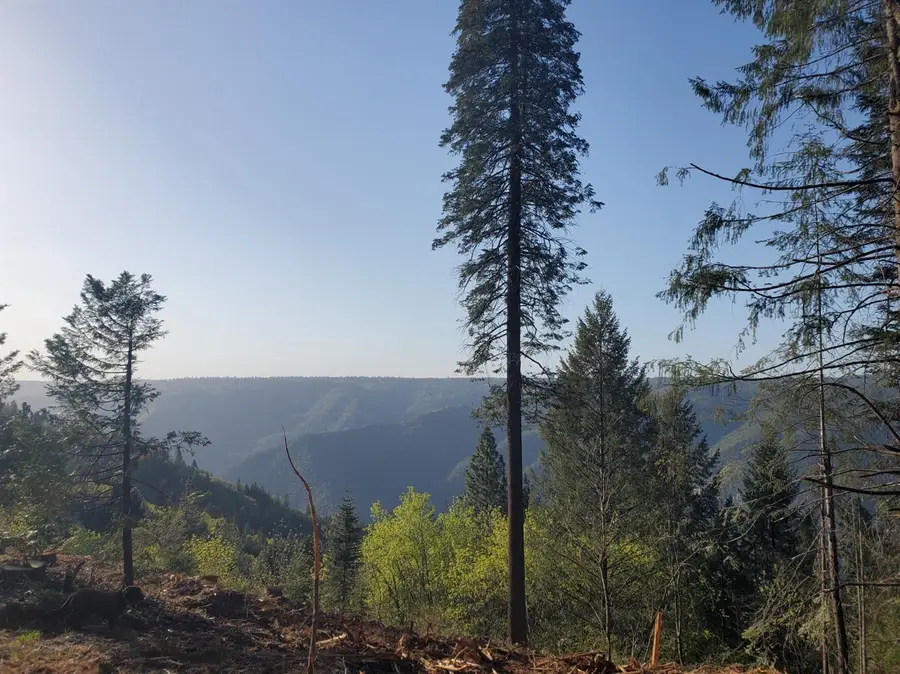 4104 Volcanoville Road, Georgetown, CA 95634 - #2