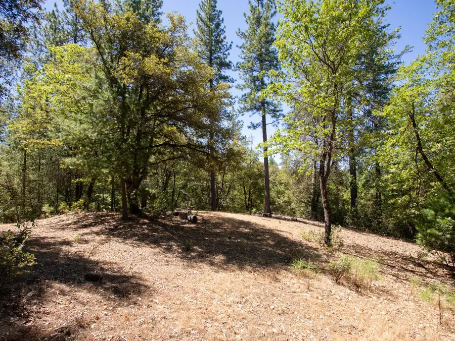 21285 Cottonwood Lane, Pine Grove, CA 95665 - #3