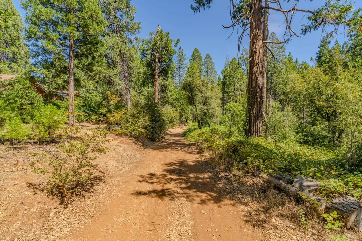 0 Gold Creek Trail, Volcano, CA 95689 - #1