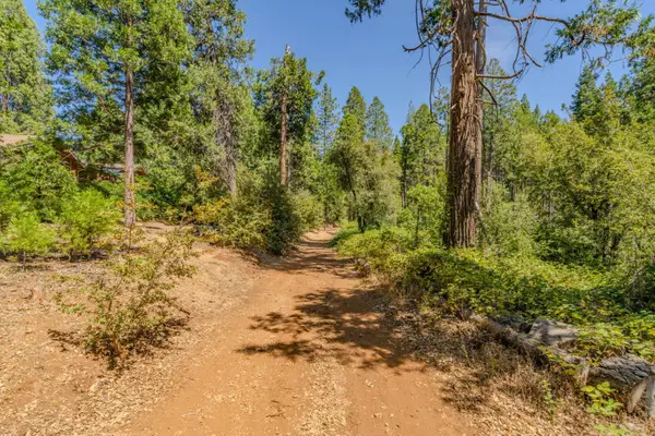 0 Gold Creek Trail, Volcano, CA 95689