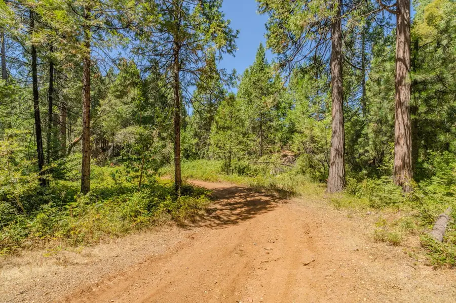 0 Gold Creek Trail, Volcano, CA 95689 - #2