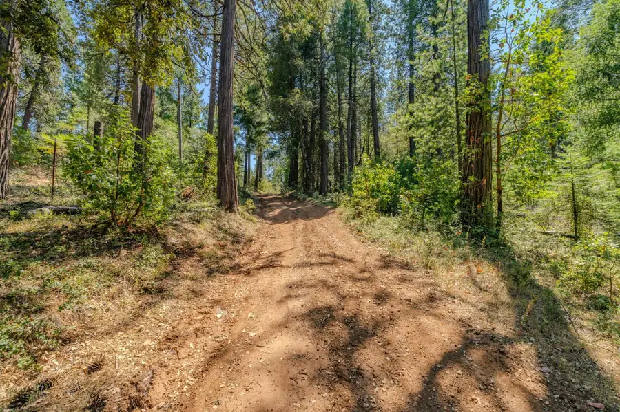 0 Gold Creek Trail, Volcano, CA 95689 - #3