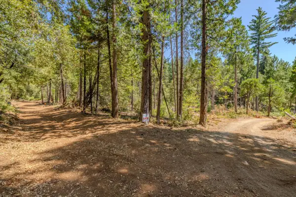 0 Gold Creek Trail, Volcano, CA 95689