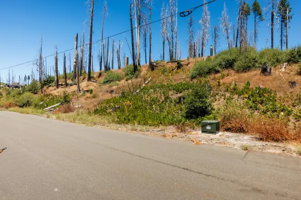 7191 Winding Way, Grizzly Flats, CA 95636