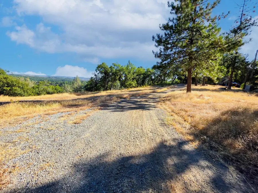 5520 Lynx Trail, Pollock Pines, CA 95726 - #2