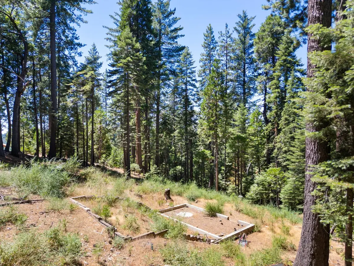 1704 Boro Court, Arnold, CA 95223 - #1