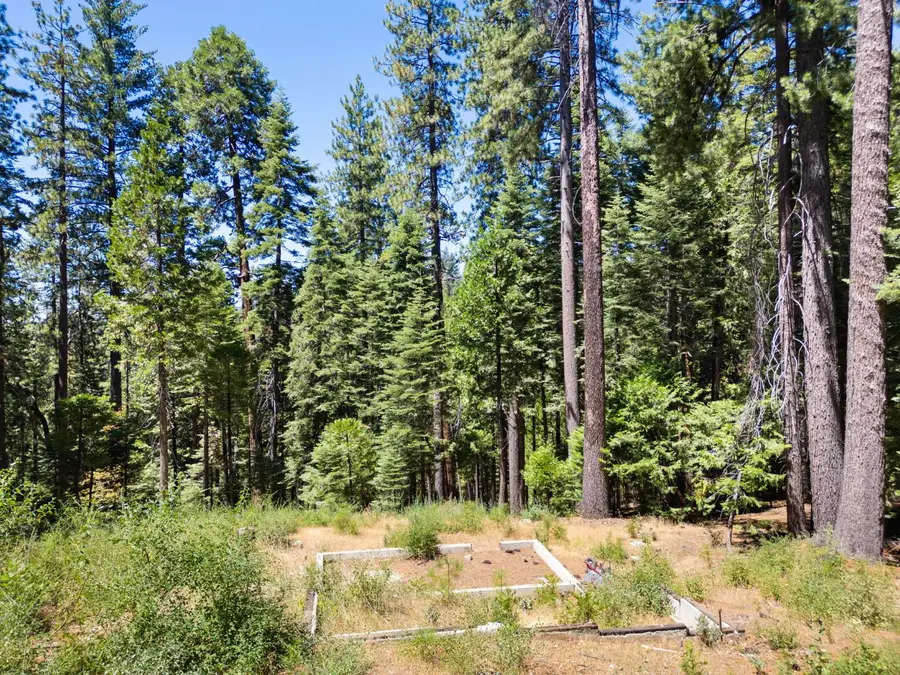 1704 Boro Court, Arnold, CA 95223 - #2