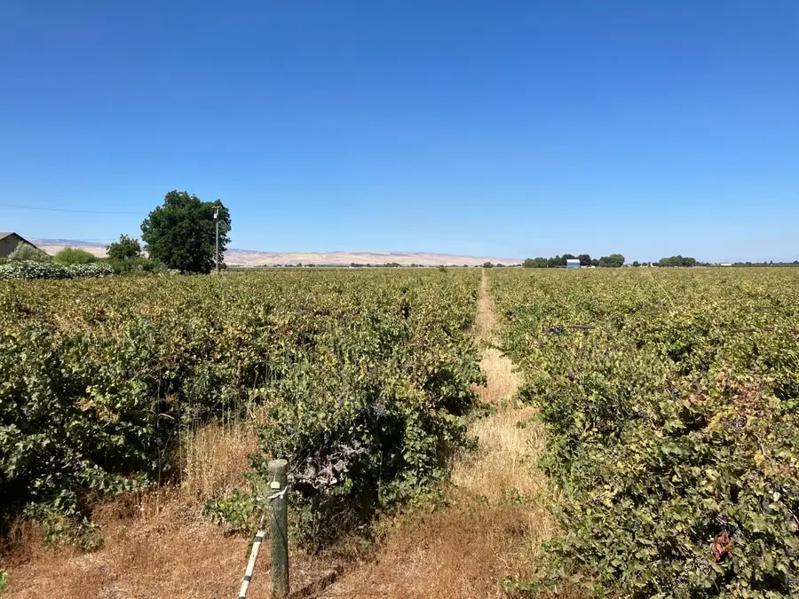 0 Lehman Road, Tracy, CA 95376 - #3