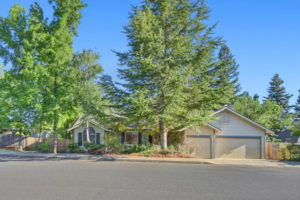 10100 Snowy Owl Way, Auburn, CA 95603