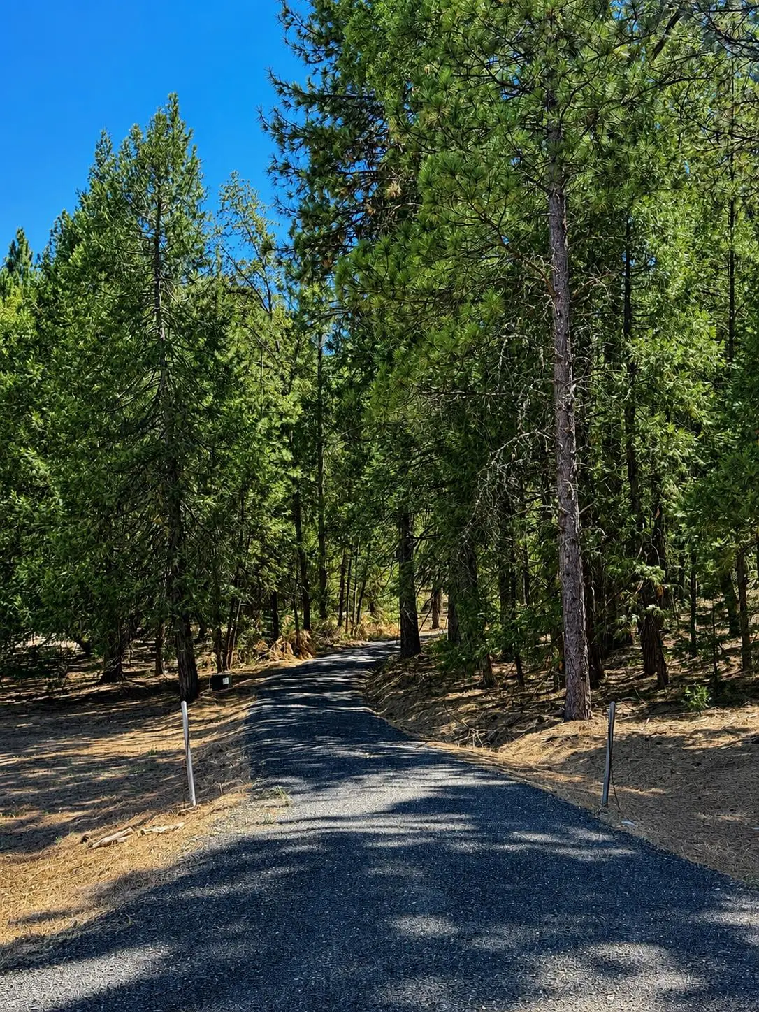 4701 Vogelsang Lane, Placerville, CA 95667 - #1