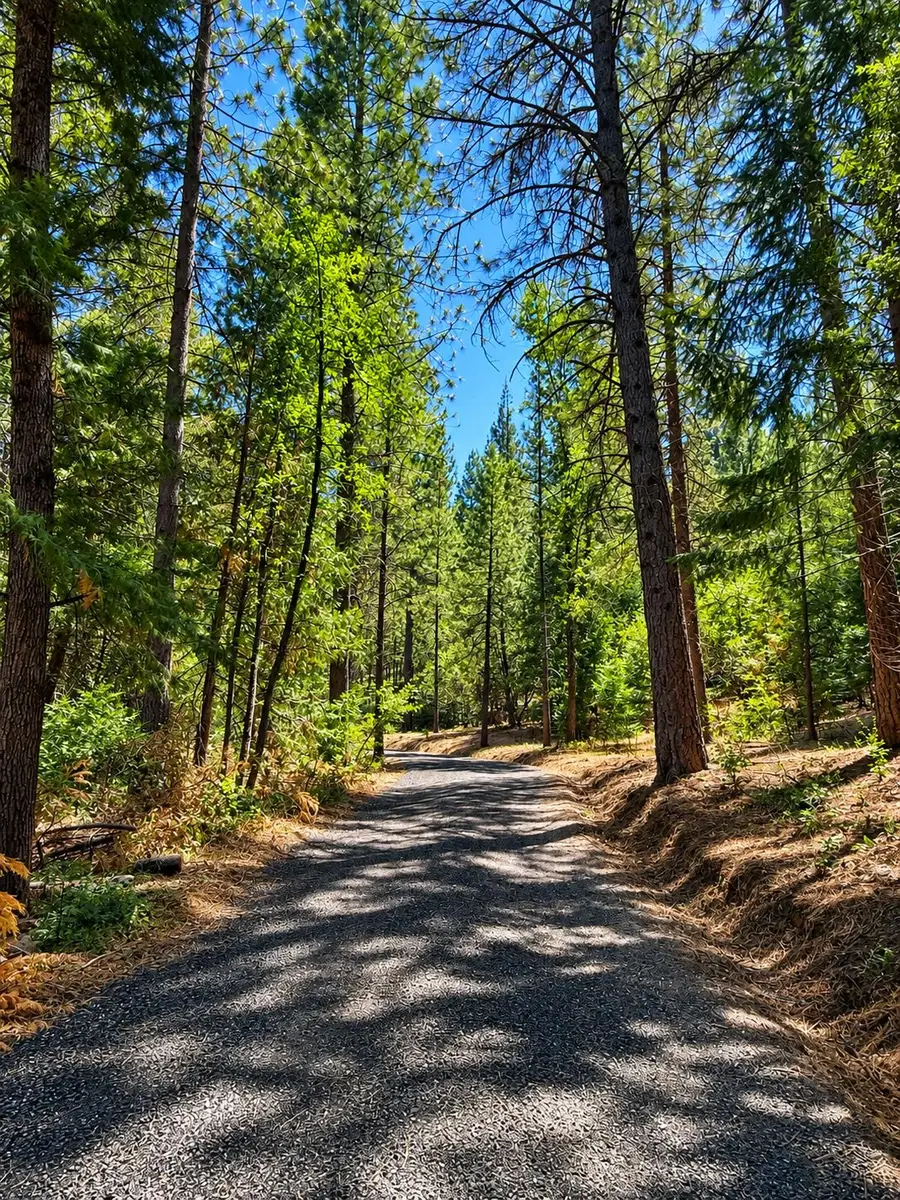 4701 Vogelsang Lane, Placerville, CA 95667 - #2