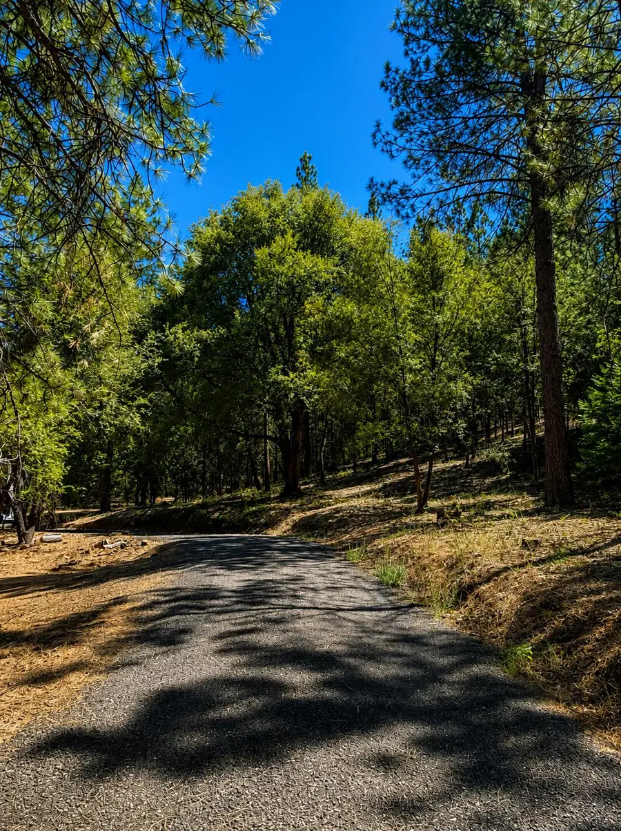 4701 Vogelsang Lane, Placerville, CA 95667 - #3