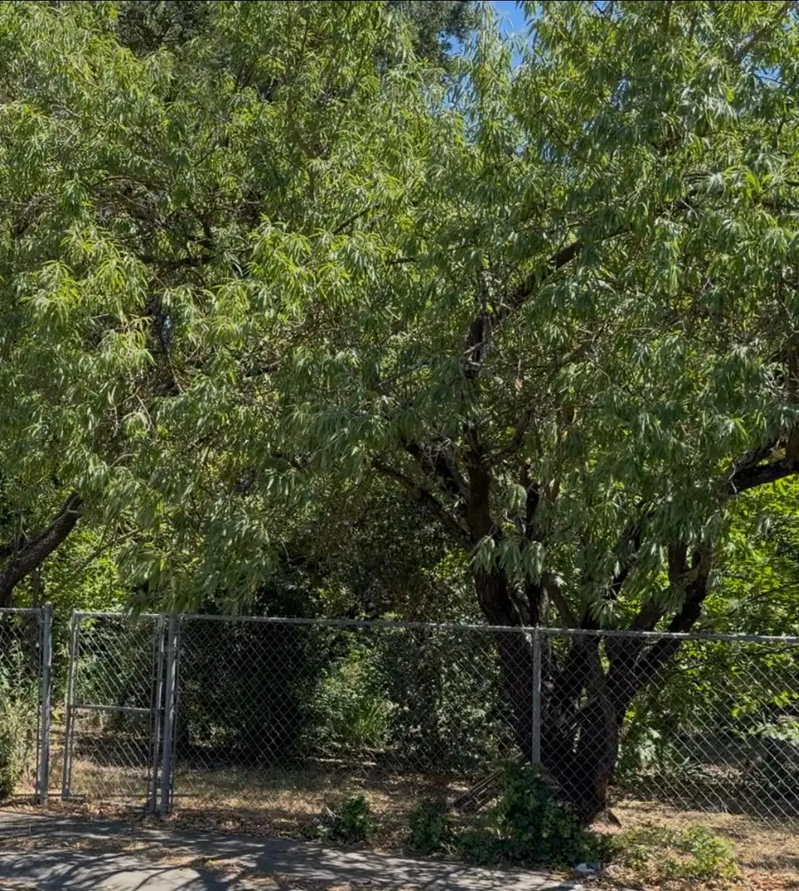 0 Valley Brook Avenue, Sacramento, CA 95831 - #3