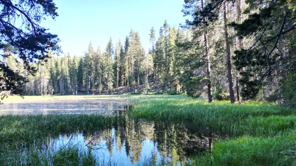 0 Forest 41 Road, Soda Springs, CA 95728