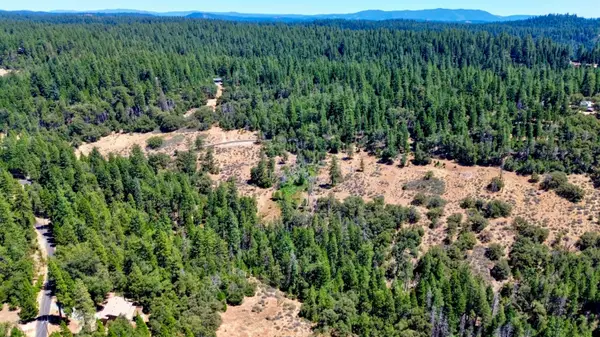 19421 Ponderosa Drive, Pioneer, CA 95666