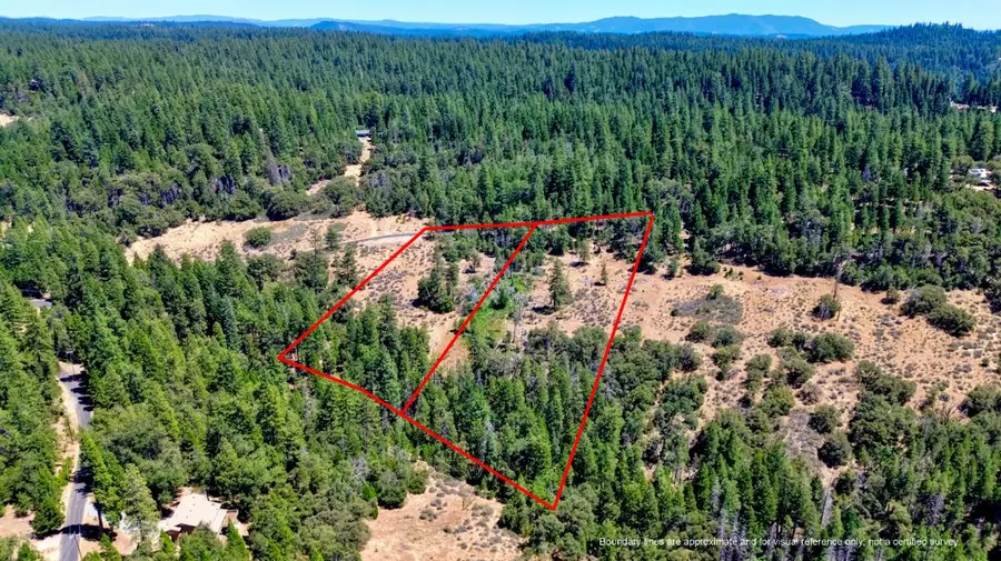 19421 Ponderosa Drive, Pioneer, CA 95666 - #2