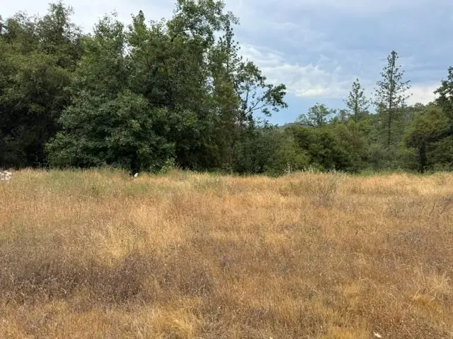 6019 Pappalardo Prominade, Murphys, CA 95247 - #1