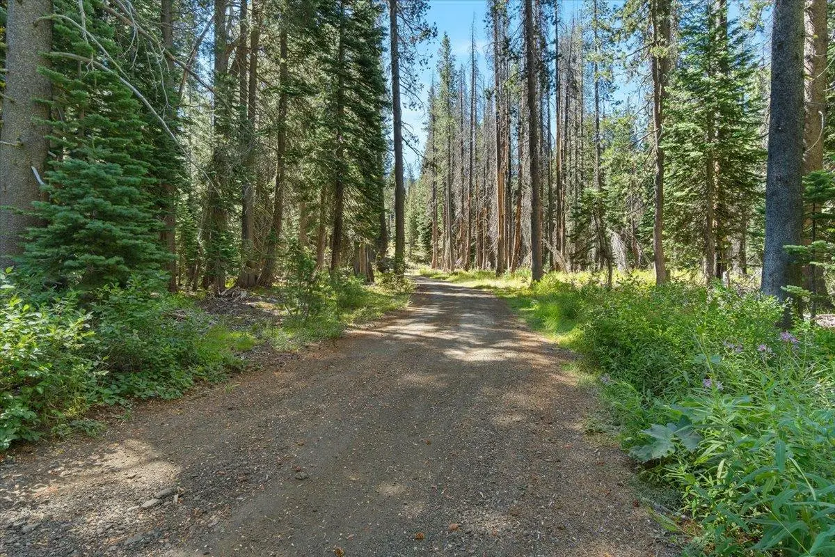 20414 Us Highway 50, South Lake Tahoe, CA 96155 - #1