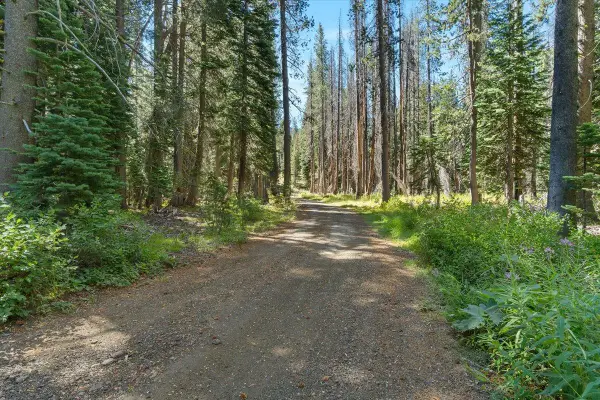 20414 Us Highway 50, South Lake Tahoe, CA 96155