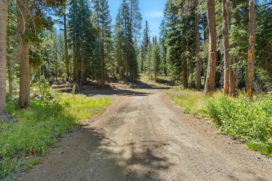 20414 Us Highway 50, South Lake Tahoe, CA 96155 - #3