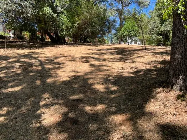 0 Clay Street, Placerville, CA 95667 - #3