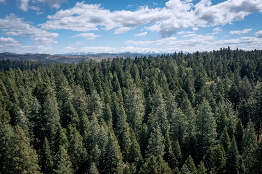0 Blair Road, Pollock Pines, CA 95726 - #3