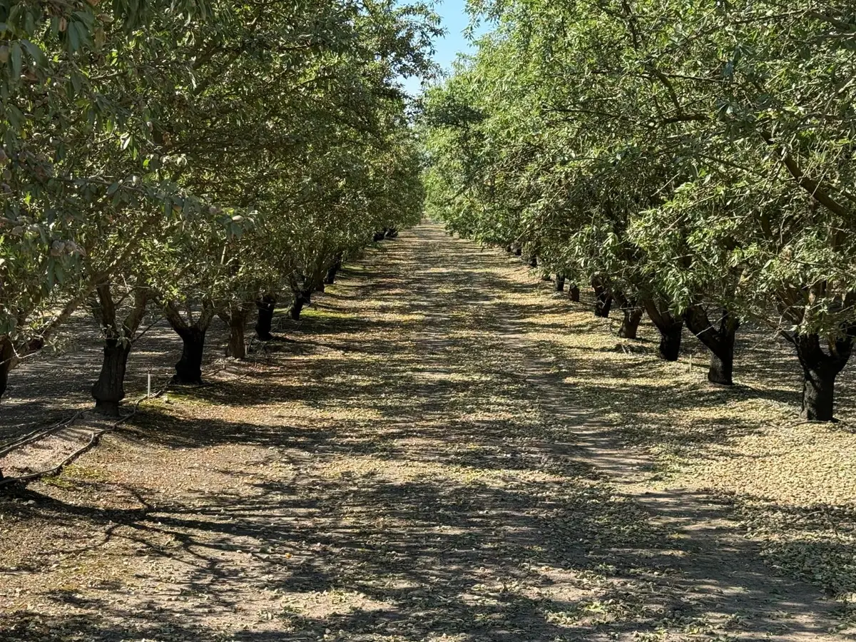 1327 Hazeldean Road, Waterford, CA 95386 - #1