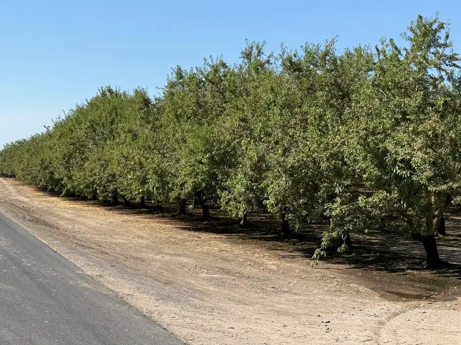 1327 Hazeldean Road, Waterford, CA 95386 - #2