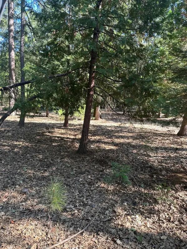 5667 Maywood Drive, Foresthill, CA 95631