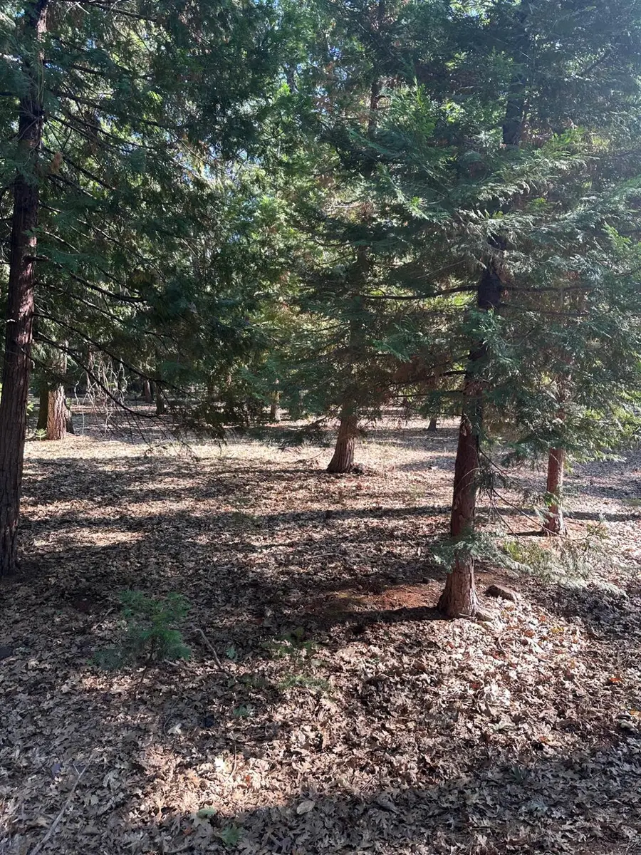 5667 Maywood Drive, Foresthill, CA 95631 - #2