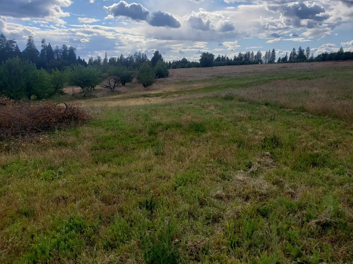 10 Braeburn Lane, Placerville, CA 95667 - #1
