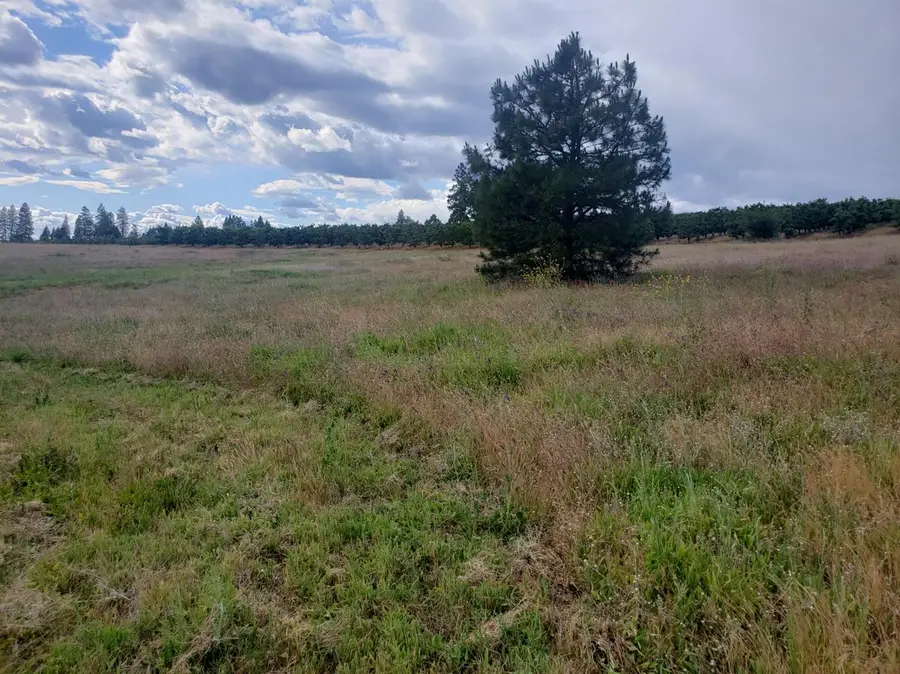 10 Braeburn Lane, Placerville, CA 95667 - #2
