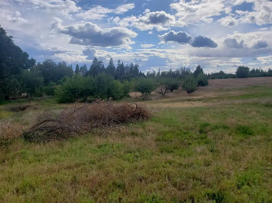 10 Braeburn Lane, Placerville, CA 95667 - #3