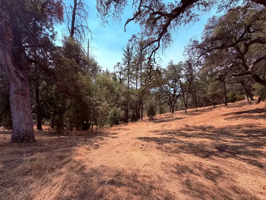 7836 Mount Aukum Road, Somerset, CA 95684 - #2