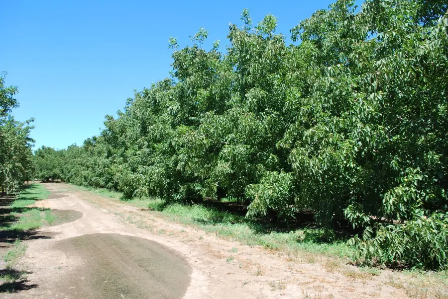 20551 E. State Route 4, Stockton, CA 95215 - #2