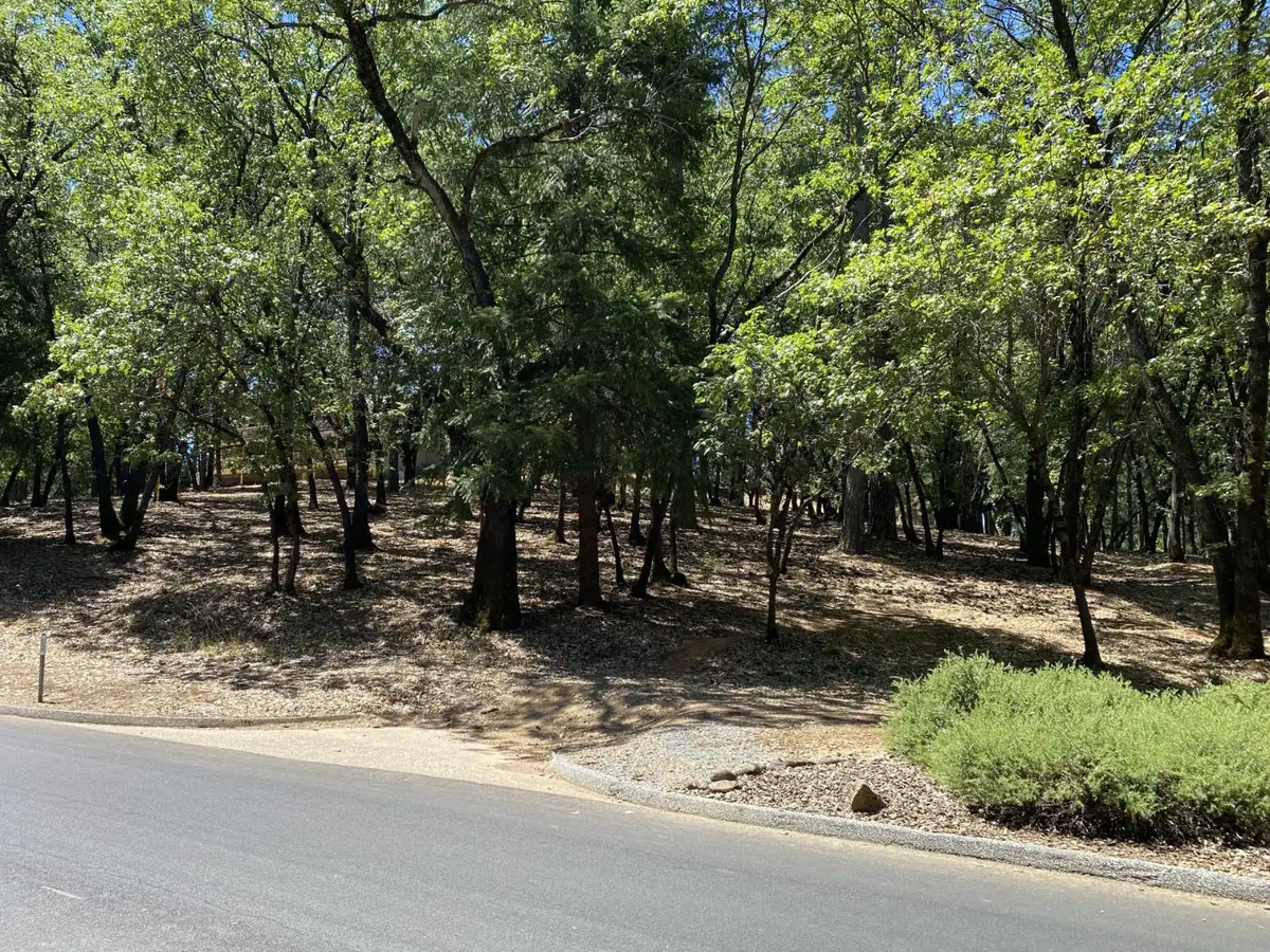 33 Nugget Drive, Foresthill, CA 95631 - #1