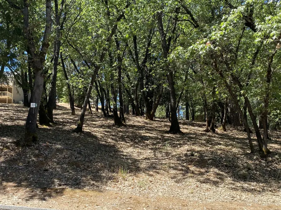 33 Nugget Drive, Foresthill, CA 95631 - #3