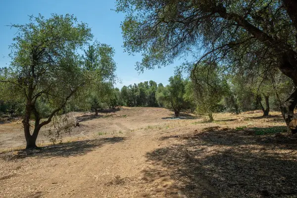 3326 Sand Ridge Road, Placerville, CA 95667