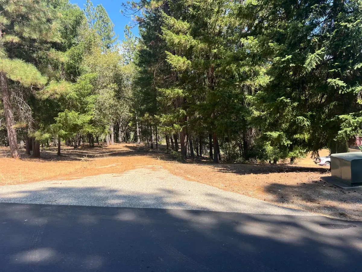 4415 Santa Croce Court, Foresthill, CA 95631 - #1