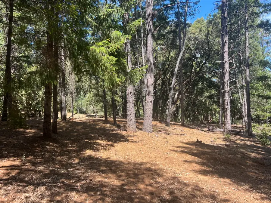 4415 Santa Croce Court, Foresthill, CA 95631 - #3
