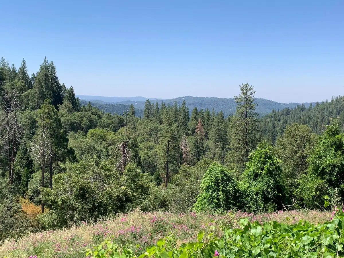 10 Meyers Road, Camino, CA 95709 - #1