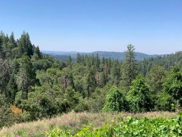 10 Meyers Road, Camino, CA 95709
